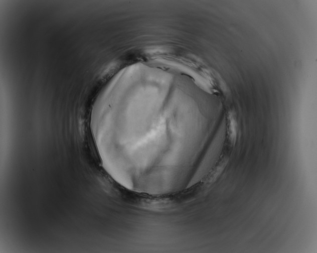 X0000086770716200705111735