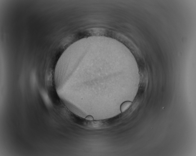 X0000086770717200705111735