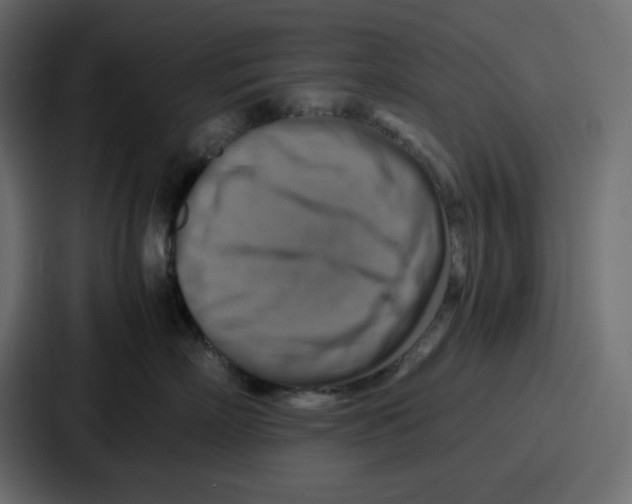 X0000086770718200705111735