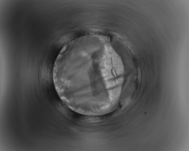 X0000086770719200705111735