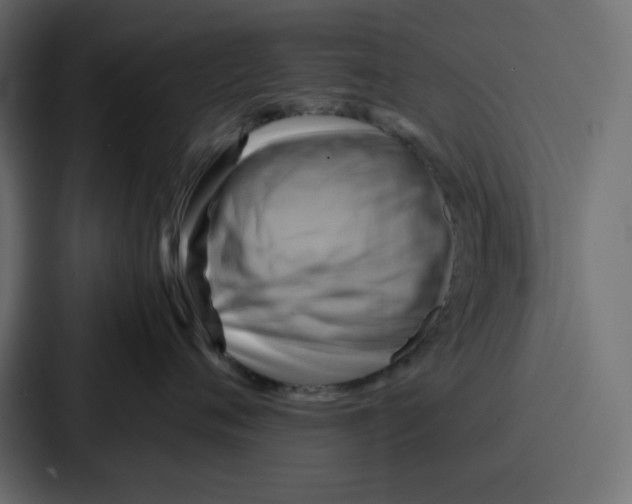 X0000086770720200705111735