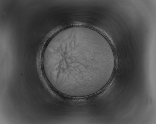 X0000086770721200705111734