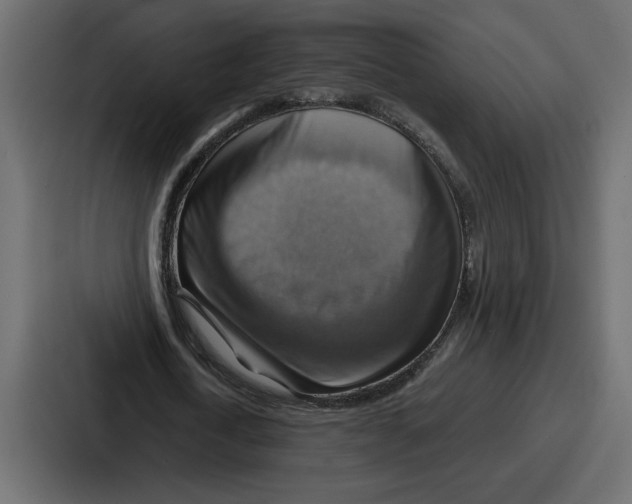 X0000086770722200705111734