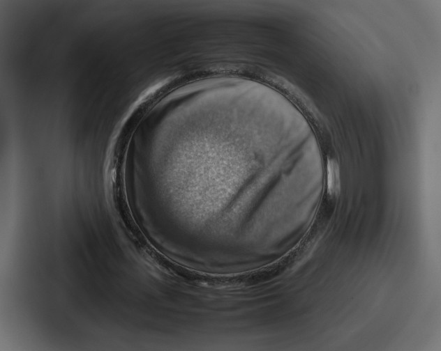 X0000086770723200705111734
