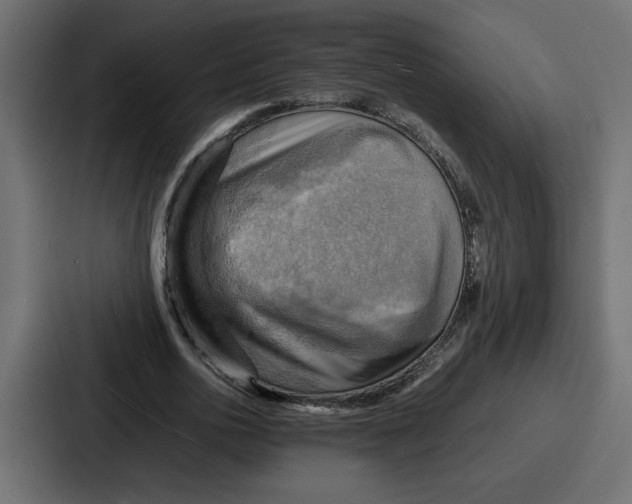 X0000086770726200705111734