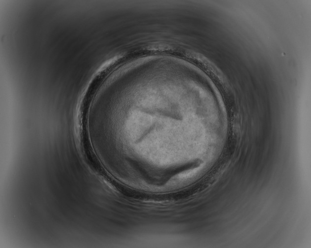 X0000086770727200705111734