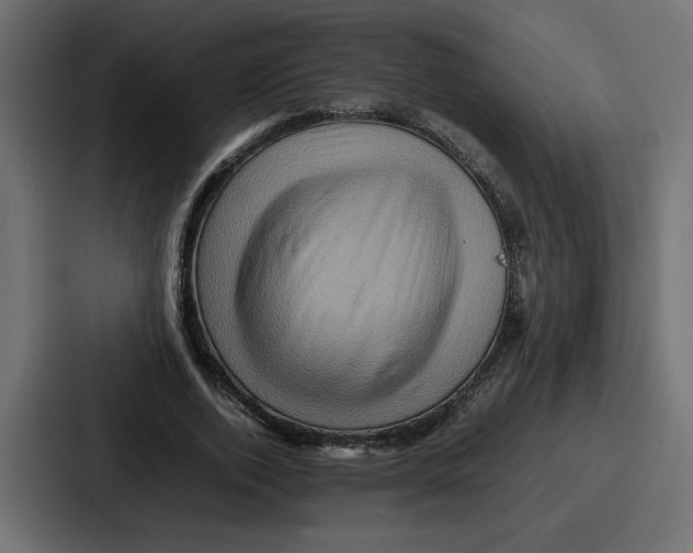 X0000086770728200705111734