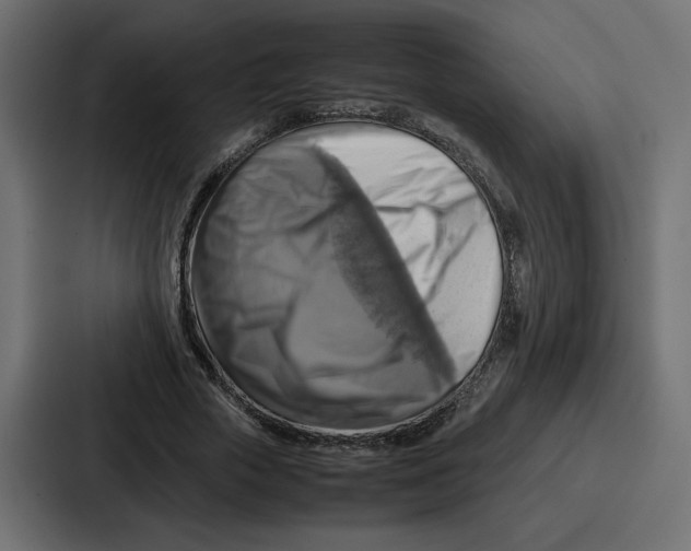 X0000086770729200705111734