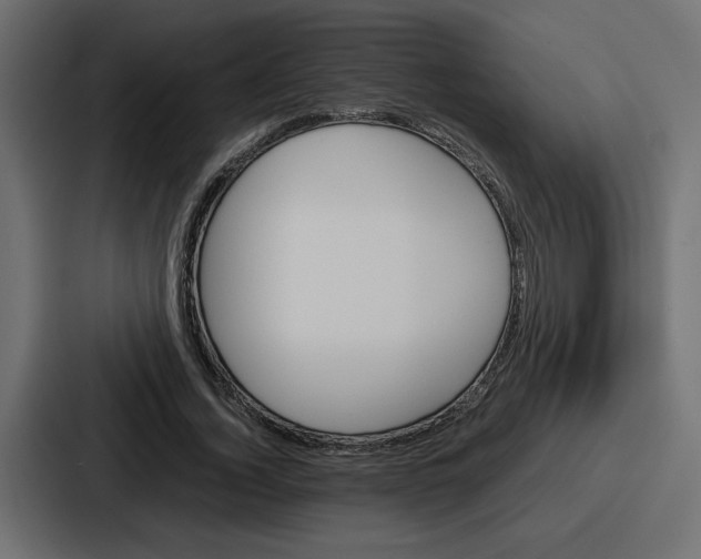 X0000086770732200705111734