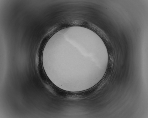 X0000086770734200705111734