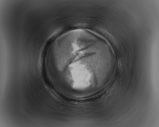 X0000086770735200705111734