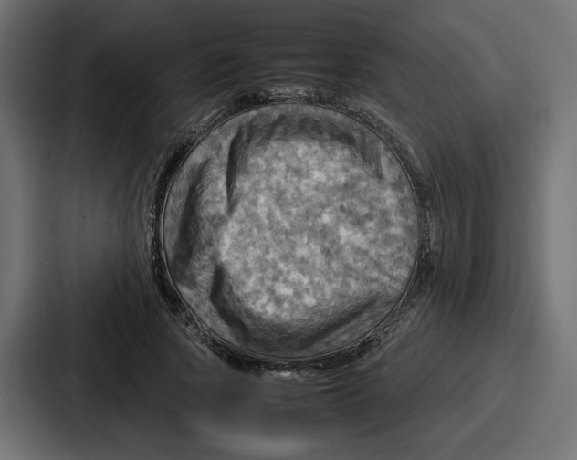 X0000086770737200705111735
