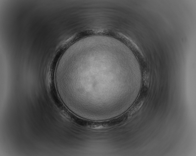 X0000086770740200705111735