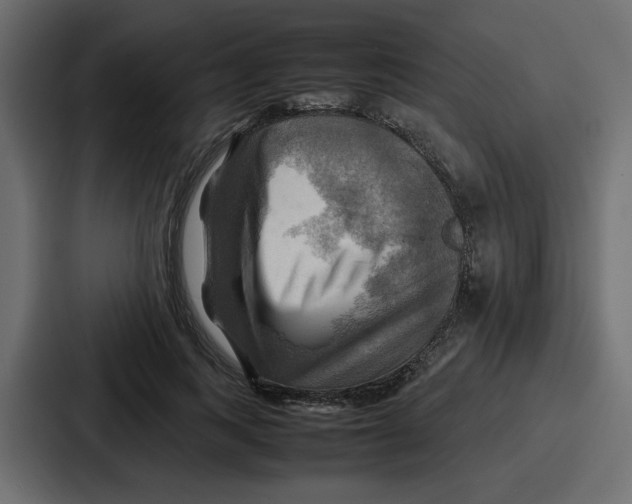 X0000086770743200705111735
