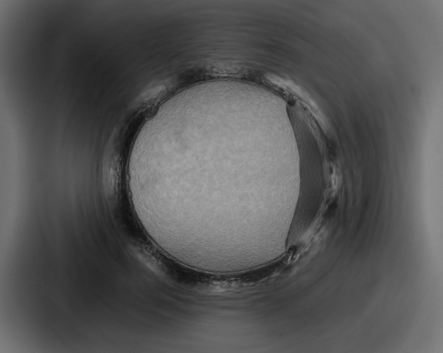 X0000086770744200705111735
