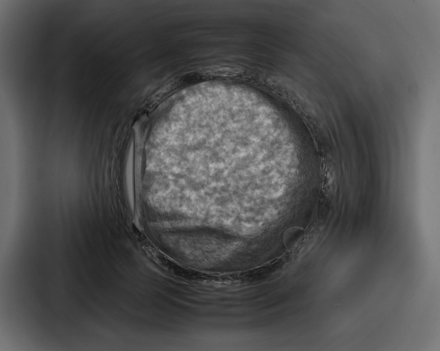 X0000086770745200705111735