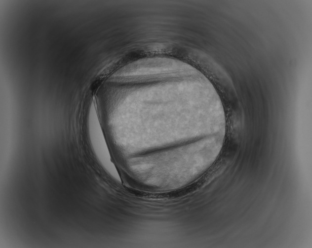 X0000086770746200705111735
