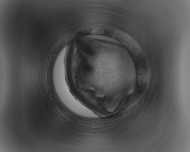 X0000086770748200705111735