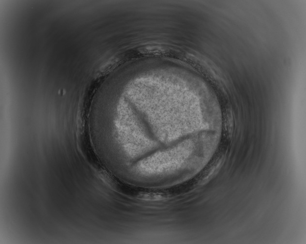 X0000086770751200705111735