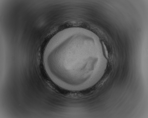 X0000086770752200705111735