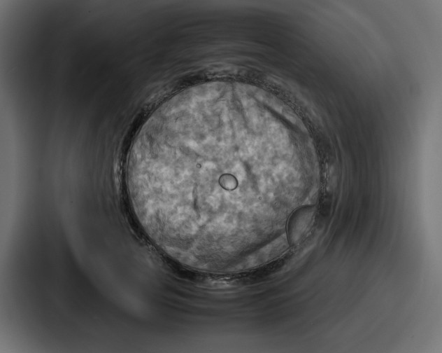 X0000086770753200705111735