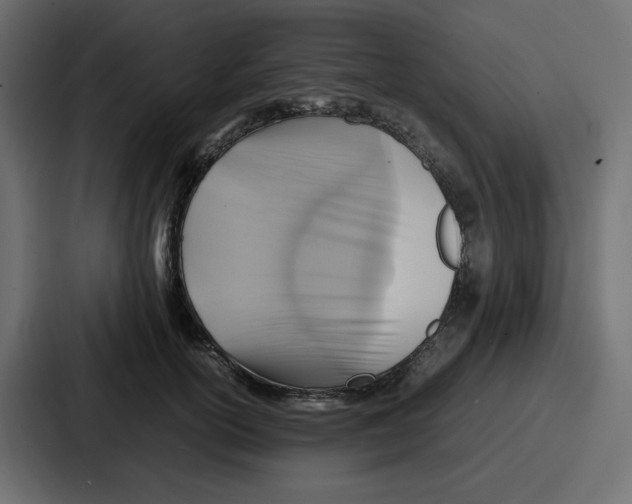 X0000086770754200705111735