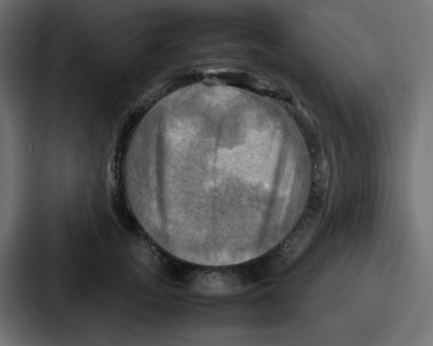 X0000086770755200705111735