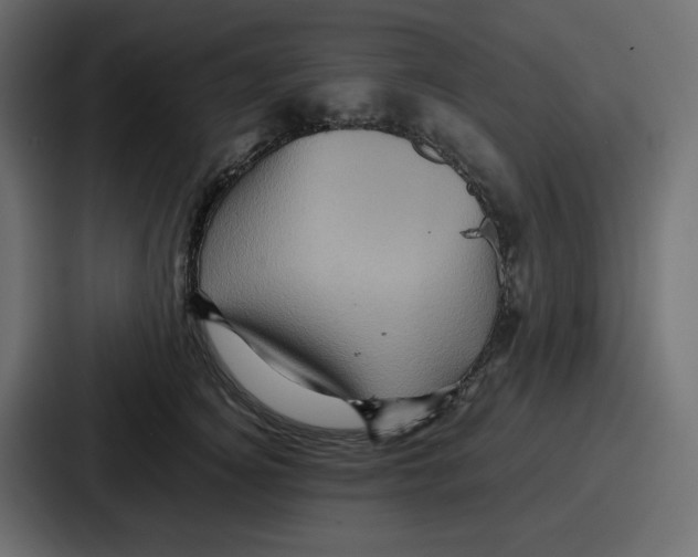 X0000086770756200705111735