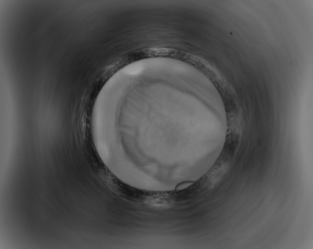 X0000086770761200705111735