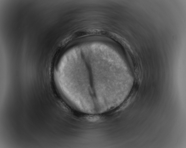 X0000086770762200705111735