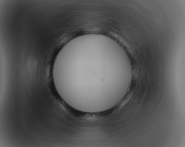 X0000086770764200705111735