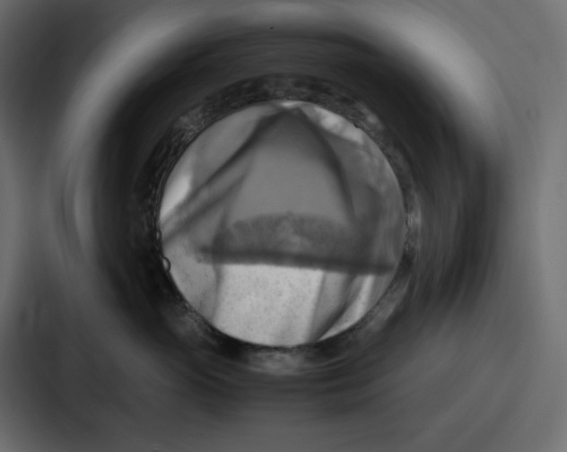 X0000086770765200705111735