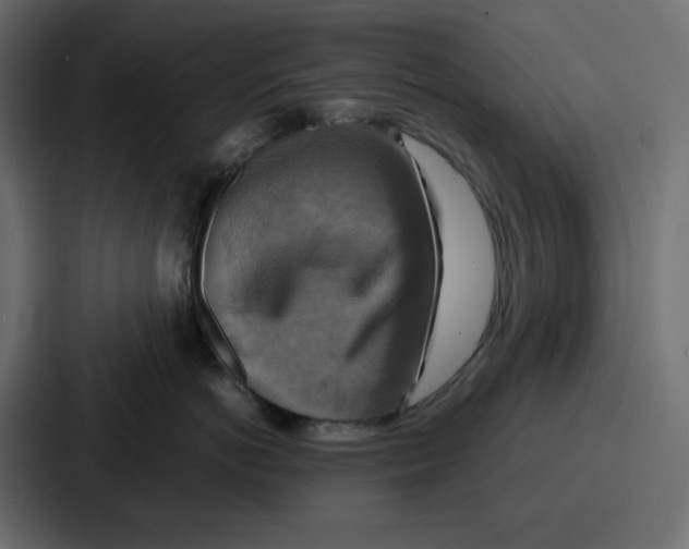 X0000086770766200705111735