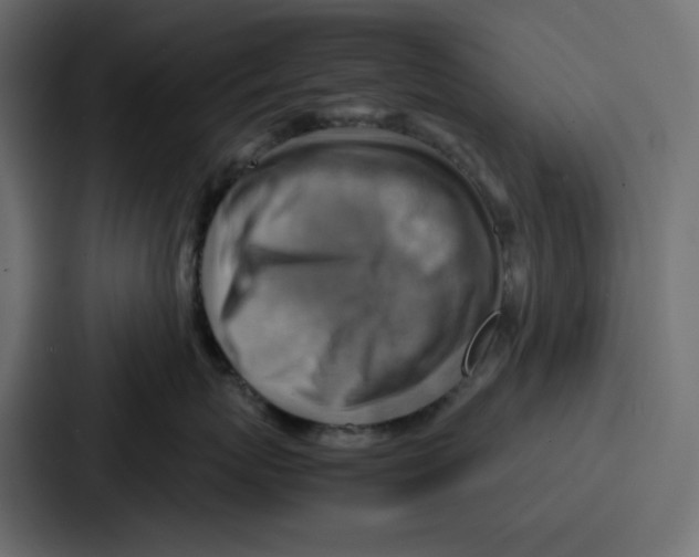 X0000086770767200705111735