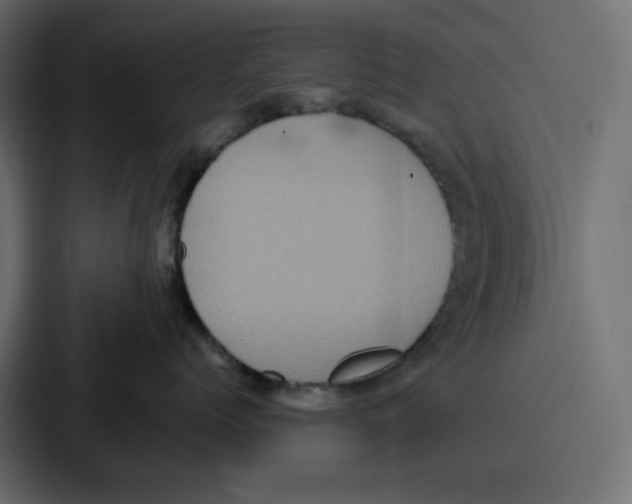 X0000086770768200705111735
