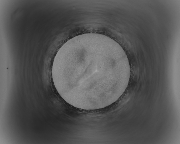 X0000086770769200705111734