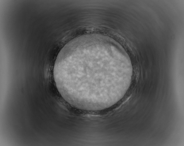 X0000086770770200705111734