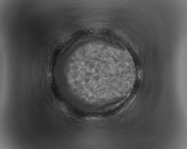 X0000086770771200705111734