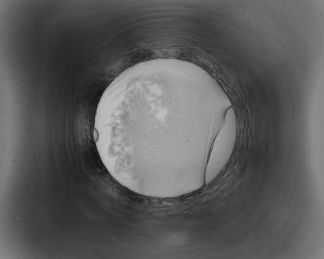 X0000086770772200705111734