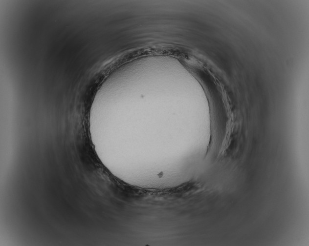 X0000086770773200705111734