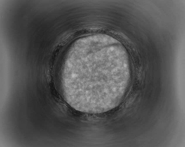 X0000086770774200705111734