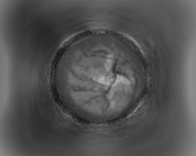 X0000086770775200705111734