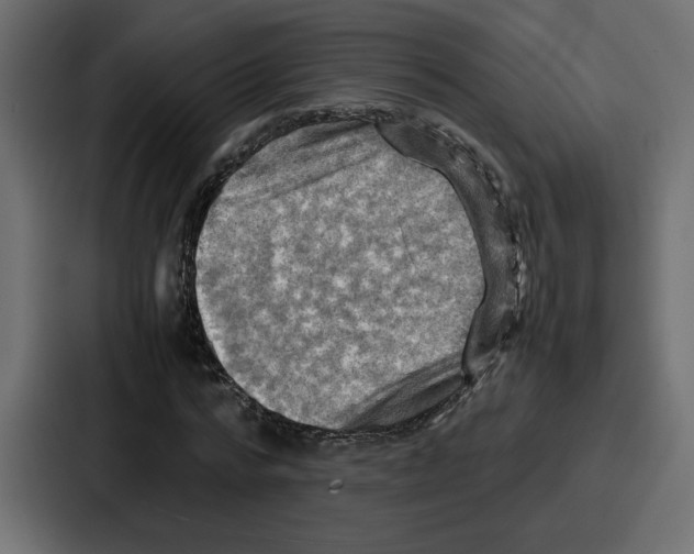X0000086770776200705111734