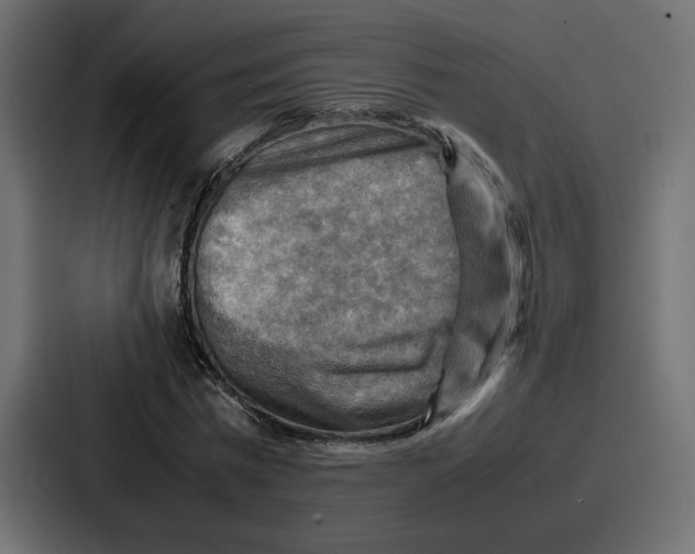 X0000086770777200705111734