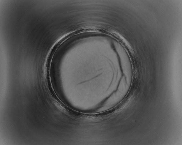 X0000086770779200705111734