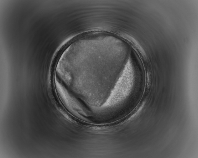X0000086770780200705111734