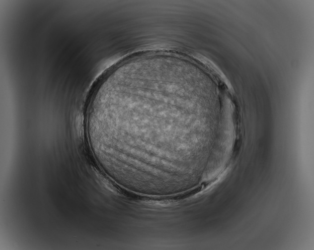 X0000086770781200705111734