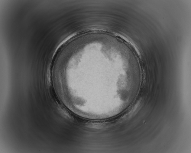X0000086770782200705111734