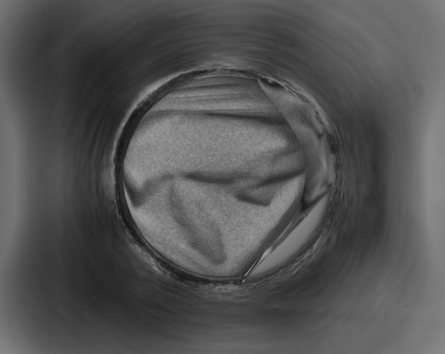X0000086770784200705111734