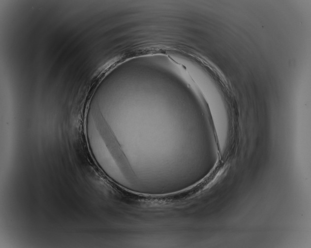 X0000086770785200705111734